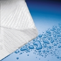 TOWELS PROF 2PLY PLASBAK T/P BLUE